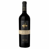 SEPTIMA GRAN RESERVA BLEND 2016 (MALBEC-CAB.-TANNAT)