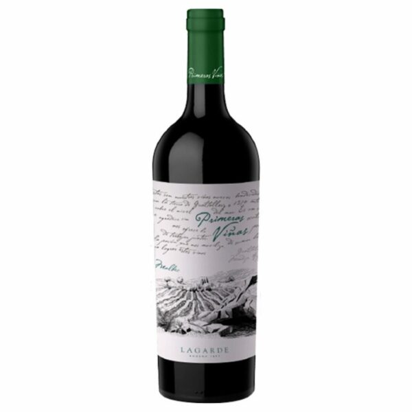 PRIMERAS VIÑAS MALBEC GUALTALLARY