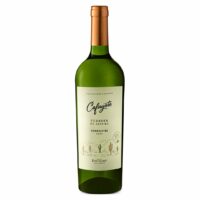 CAFAYATE TERRUÑO DE ALTURA TORRONTES