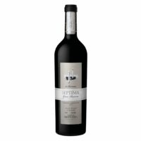 SEPTIMA GRAN RESERVA 10 BARRICAS CAB.SAUV 2013