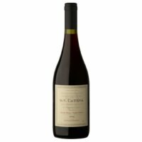D.V. CATENA PINOT- PINOT 2014