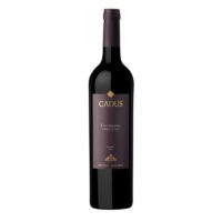 CADUS TUPUNGATO APPELLATION MALBEC