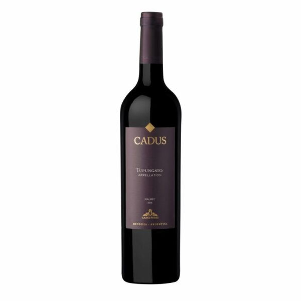 CADUS TUPUNGATO APPELLATION MALBEC
