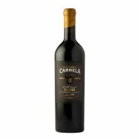 CARMELA DURIGUTTI GUARDA MALBEC C.MADERA