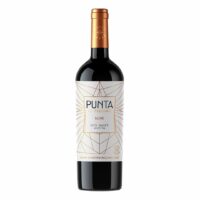 PUNTA DE FLECHAS BLEND 2016