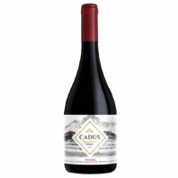 CADUS SIGNATURE SERIES CRIOLLA